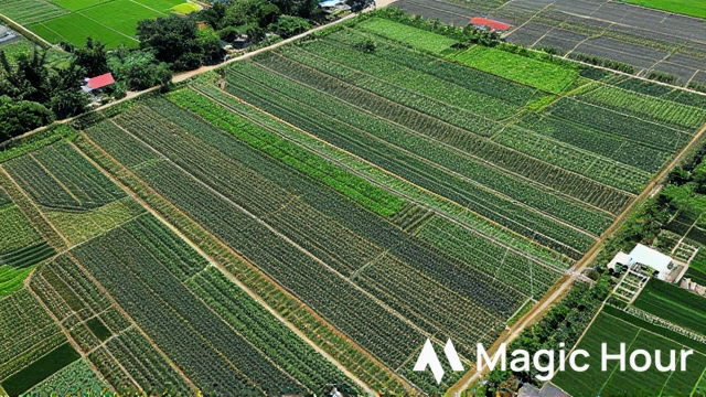 การเปลี่ยนแปลงสู่เกษตรกรรมสีเขียว – แรงผลักดันสำคัญสู่ความก้าวหน้าในภาคเกษตรกรรมของฮานอย (The transition to green agriculture – A key driver for progress in Hanoi's agricultural sector)